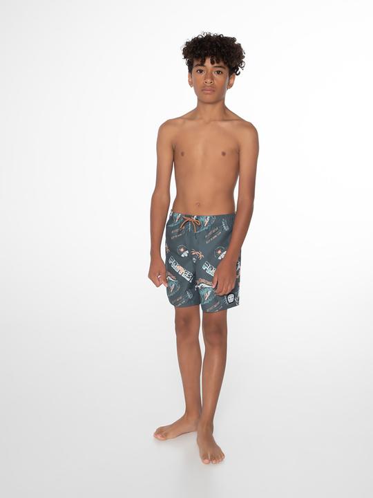 Image du produit Protest Prtharris maillot de bain garçons (152)