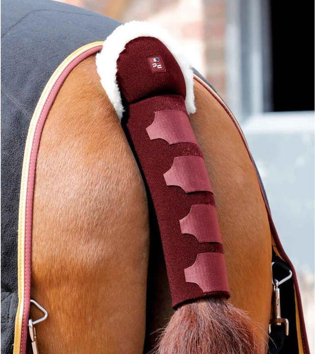 Actual product image Premier Equine Techno (One size)