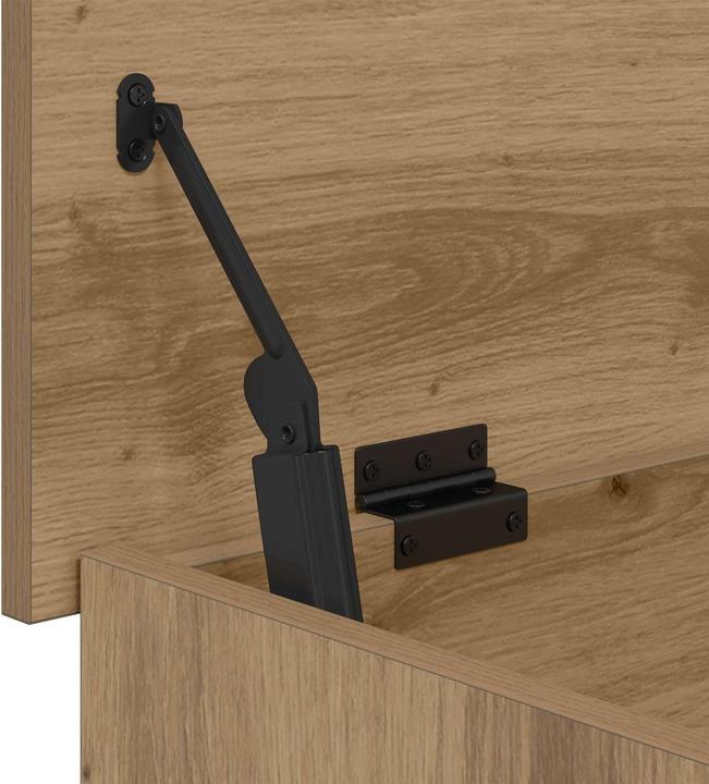 Produktbild vidaXL Aufbewahrungstruhe (40 cm, 1x)