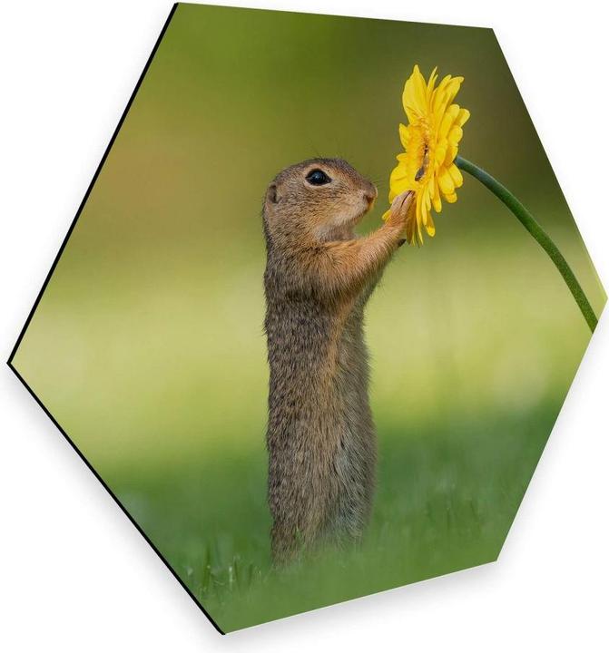 Image du produit Trenddeko van Duijn - Gopher tenant une fleur (35 x 30 cm)