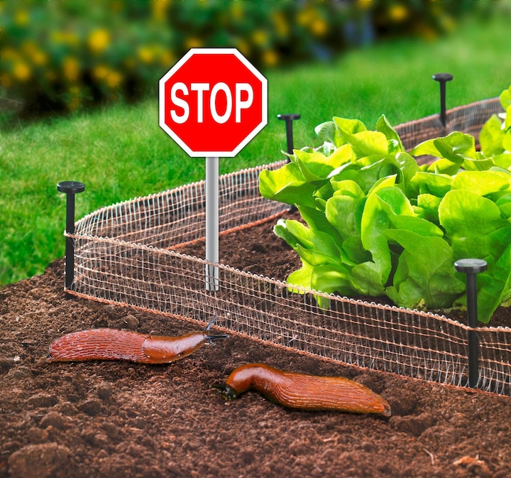 Produktbild Wenko Schnecken Stop