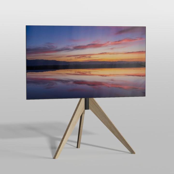 Produktbild Cavus TRIANGLE120B44 (30 kg, 32" - 65")