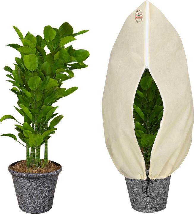 Image du produit Gardebruk Housse de protection pour plantes