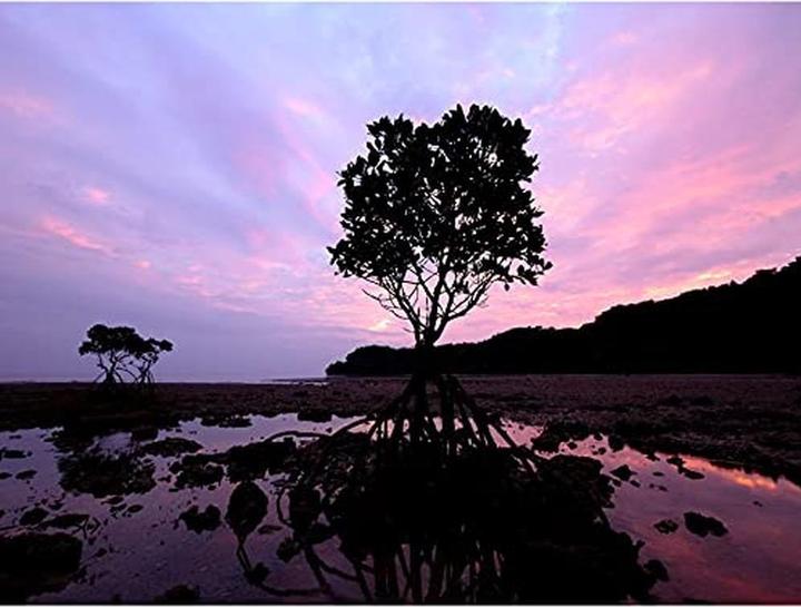 Produktbild Panasonic Lumix G Vario 7-14mm f/4 ASPH. (Micro Four Thirds, Micro Four Thirds)