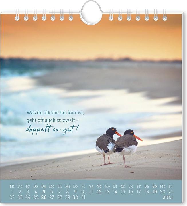 Produktbild Postkartenkalender 2026 Strandgut (16 x 17 cm)