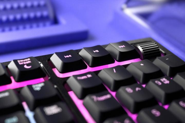 Image du produit Razer Ornata V2 (DE, Filaire)
