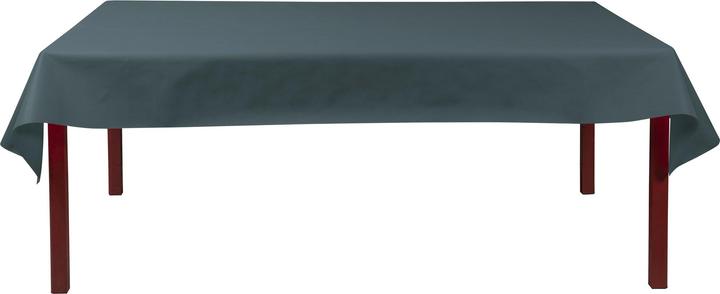 Actual product image Exacompta Tablecloth Rolls Spu nbond L120x10m Anth