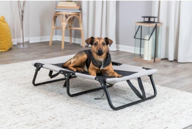 Actual product image Trixie Dog lounger Strong Edition, 99 x 19 x 60 cm (Dog)