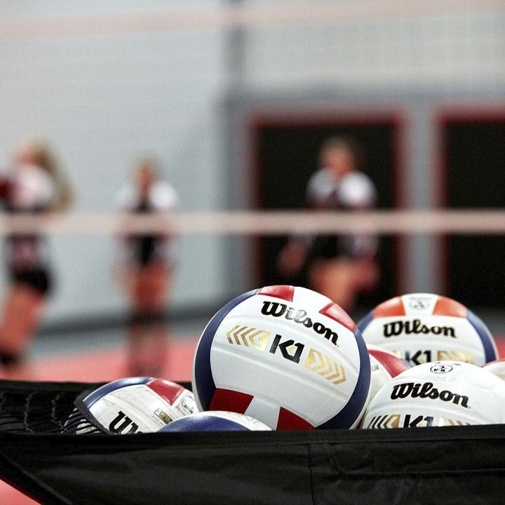 Immagine prodotto Wilson Carrello Portapalloni Da Interno