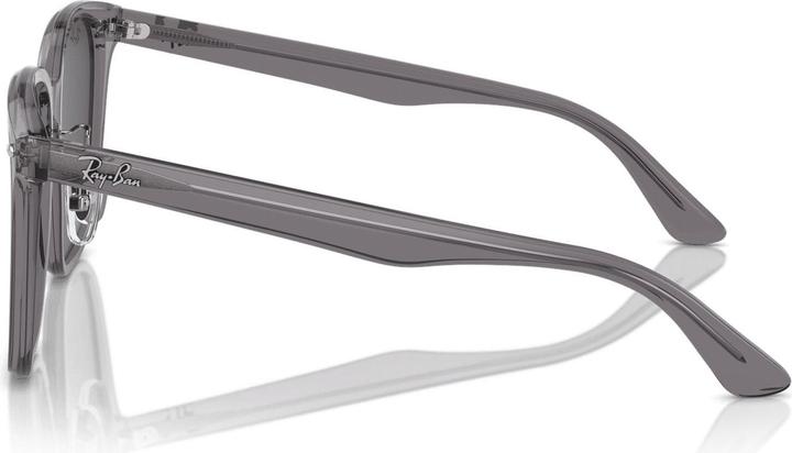 Produktbild Ray Ban RB2206D