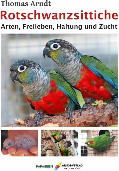 Actual product image Rotschwanzsittiche (German, Thomas Arndt, 2022)