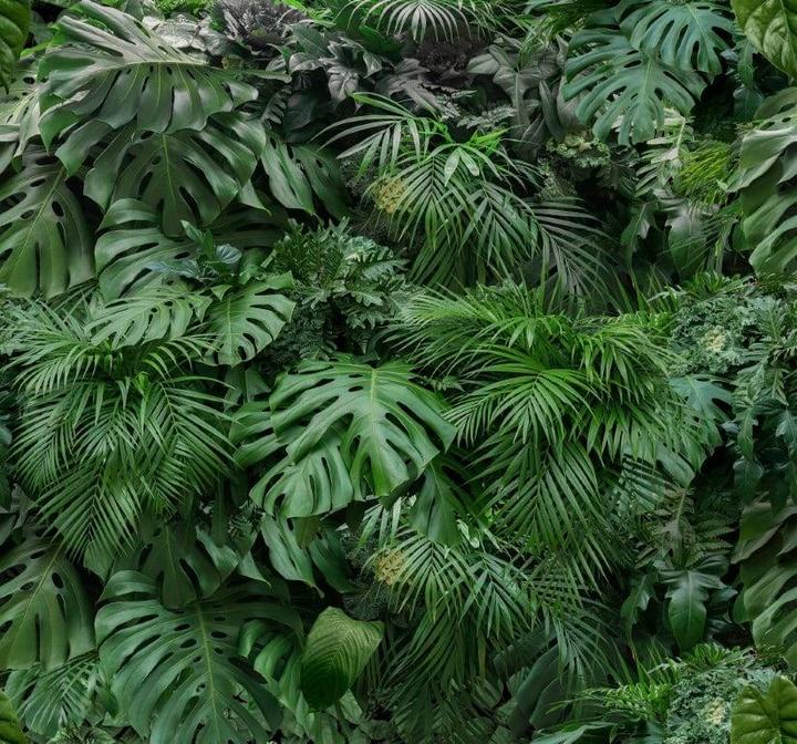 Actual product image Art for the Home PHOTOMURAL 119594 RAINFOREST (280 x 300 cm)