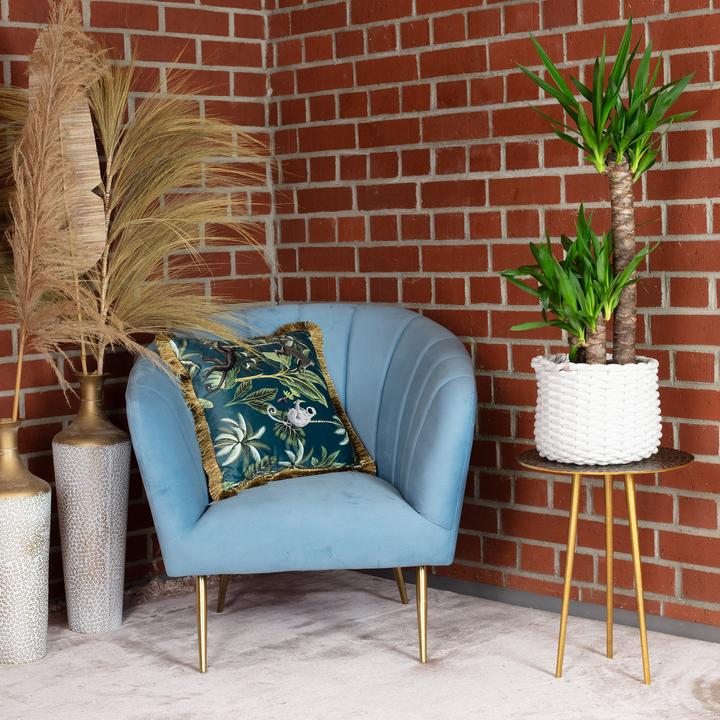 Immagine prodotto Flowerbox Giglio delle palme - Yucca Elephantipes Palm (95 cm)