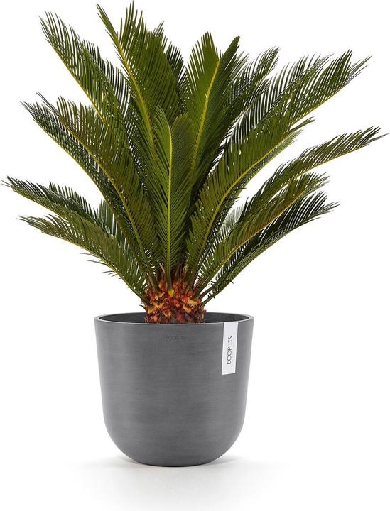 Actual product image Ecopots Oslo (35.35 cm)