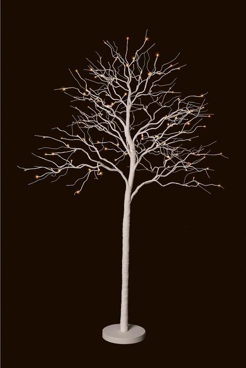 Actual product image STT Fairy tale