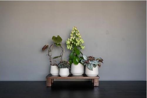 Produktbild Pottery Pots Julia XS (11 x 11 cm)