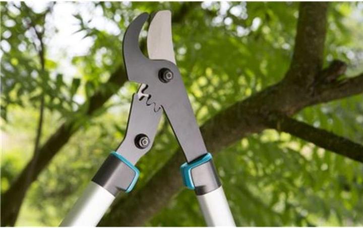 Image du produit Gardena Cisailles à branches EnergyCut 600B