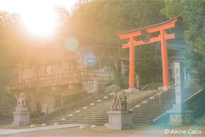 Actual product image Kenko Nostaltone Orange Anime (67 mm, Effect filter)