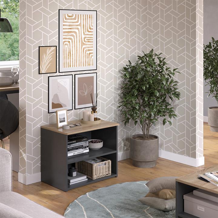 Actual product image Vicco Lowboard Wido, Anthrazit/Sonoma, 60 x 50 cm mit 2 Fächern (60 x 50 x 40 cm)