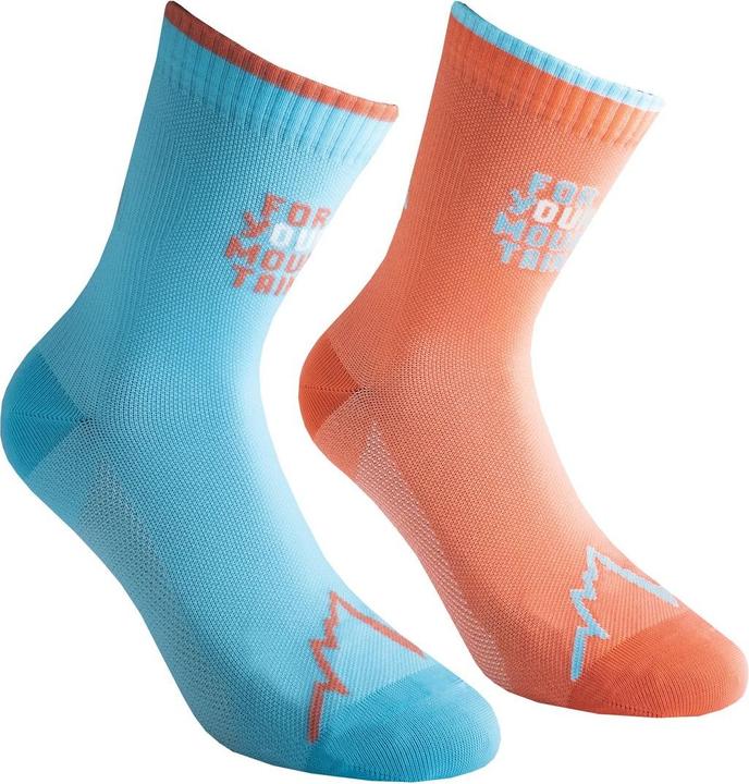 malibu blue, 402602 Hibiscus