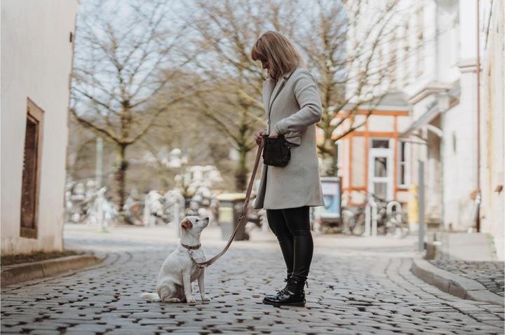 Image du produit Hunter Collier Inari Alu-Strong, M, Beige (M, Chien, Général)