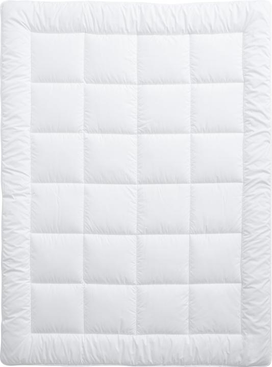 Produktbild Billerbeck Clivia Uno (910 g, 160 x 210 cm)