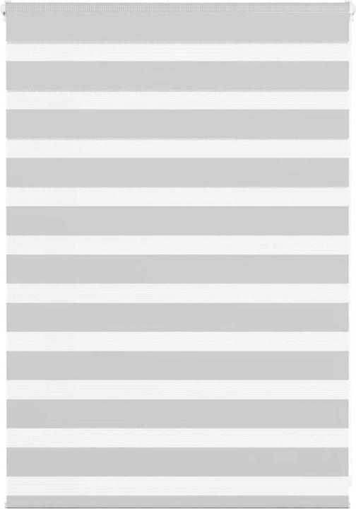 Produktbild vidaXL Zebra-Jalousie (95 x 100 cm)