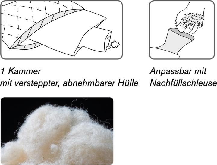 Immagine prodotto DOR Ranuncolo Pro (50 x 70 cm)