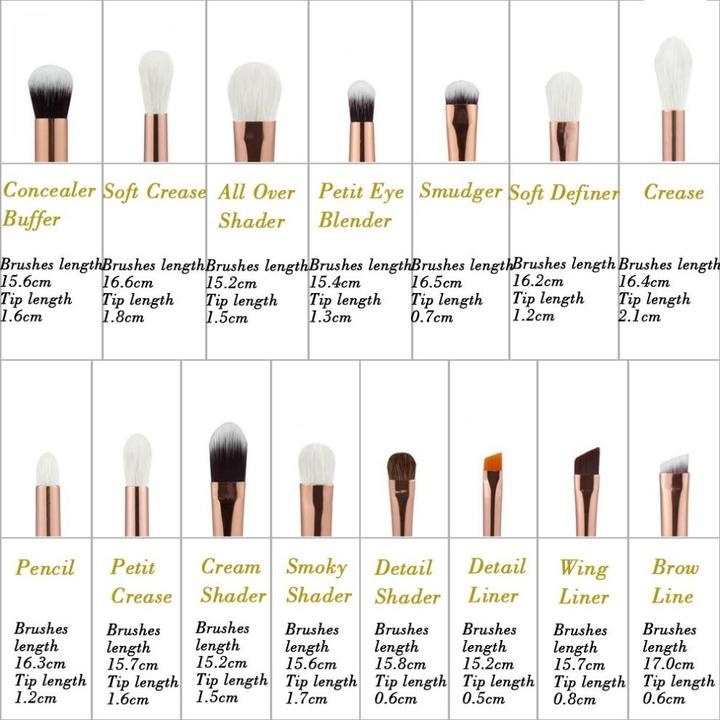 Image du produit Jessup Pinceaux professionnels pour le maquillage des yeux 15Pcs Eyeshadow Blending Concealer Eyebrow (Anti-cernes)