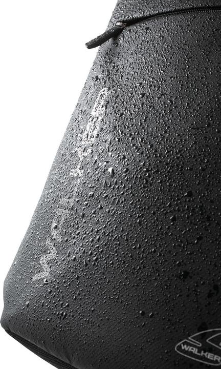 Actual product image Walker Backpack CEO Decent (22 l)