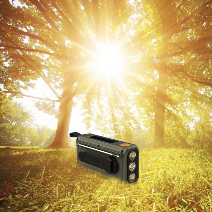 Image du produit Manta RDI401G Dynamo (FM)