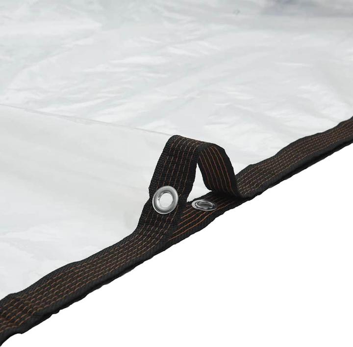 Actual product image vidaXL Transparente Plane mit Ösen 4x12 m Polyethylen durchsichtige Plane (12 x 4 m)