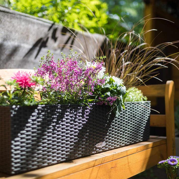 Image du produit Lechuza Chalet Balconera (79 x 19 x 19 cm)