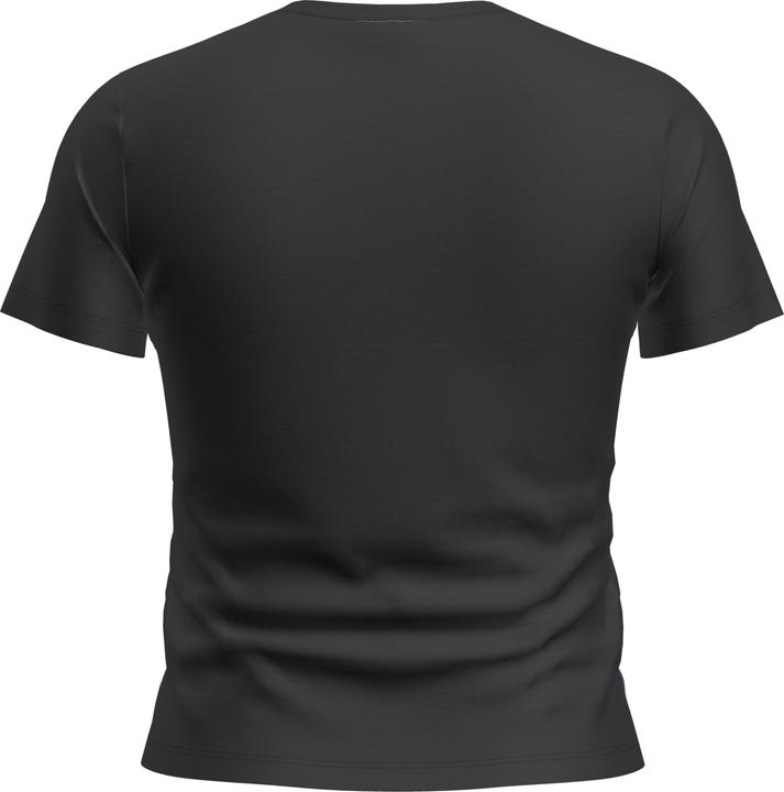 Actual product image Icebreaker Merino 200 Tech Lite SS Crop Slim Tee (L)