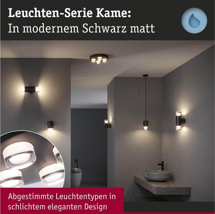 Image du produit Paulmann Badleuchte Kame (2480 lm)