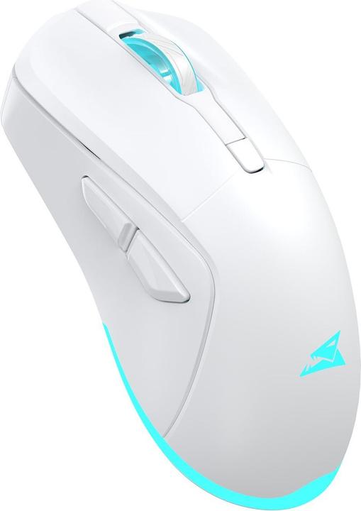 Produktbild Baracuda BGM-122 Schildkröte Weiss (Kabellos)