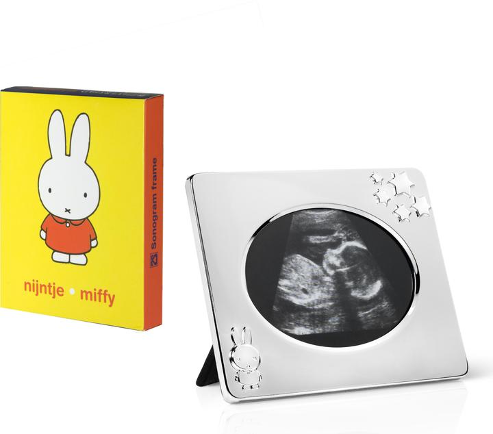 Produktbild Zilverstad Miffy (Diverse)