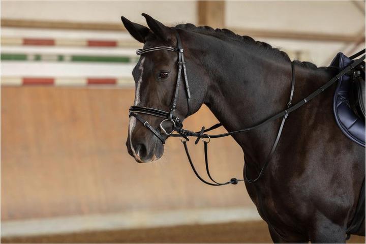 Actual product image Kerbl Martingale