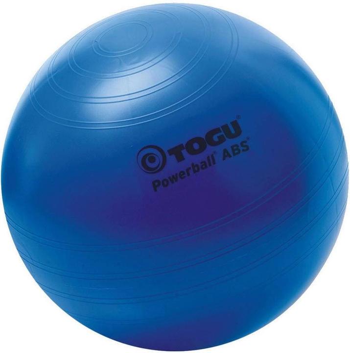 Produktbild Togu Sitzball (55.55 cm)