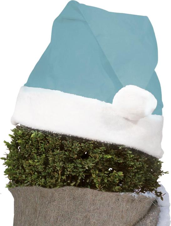 Immagine prodotto Videx Pianta cappello di Natale