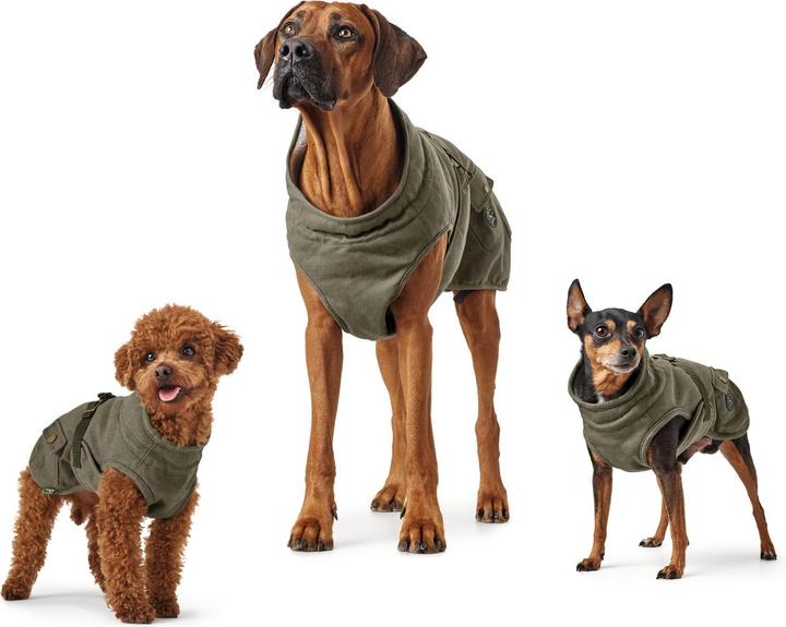 Actual product image Hunter Dog coat Uppsala Trend (30, Dog coat)