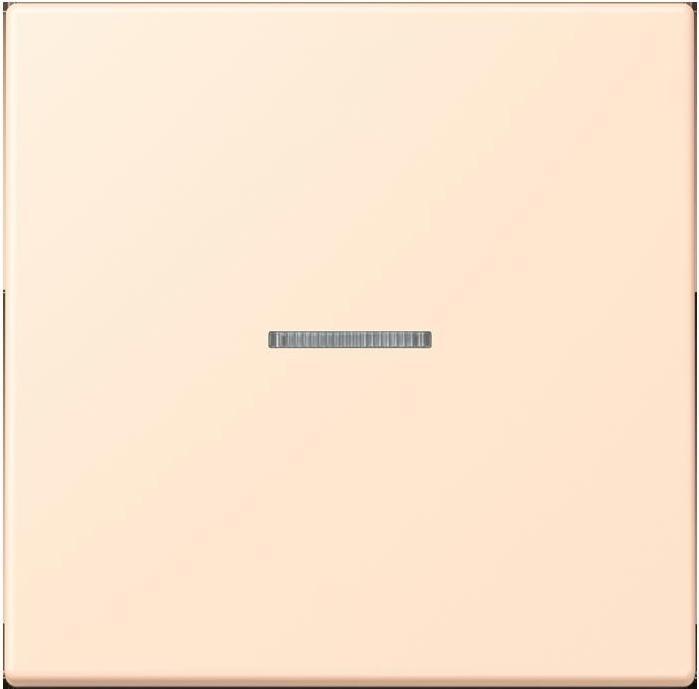 Actual product image JUNG Button