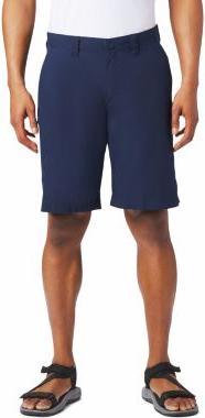 Actual product image Columbia Washed Out Shorts for Men (34)