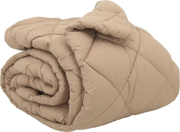 Image du produit vidaXL Winterbettdecke (200 x 200 cm)
