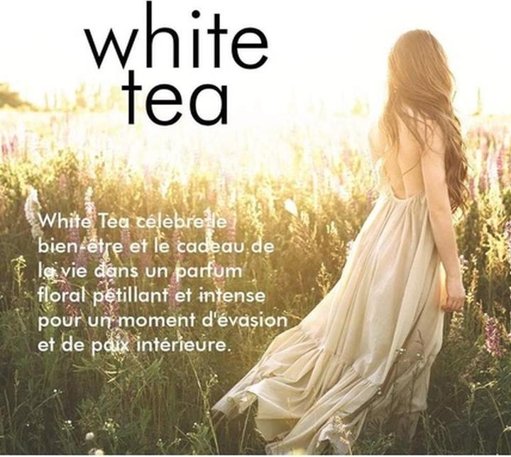 Produktbild Elizabeth Arden White Tea Wild Rose (Körpercreme, 384 ml)