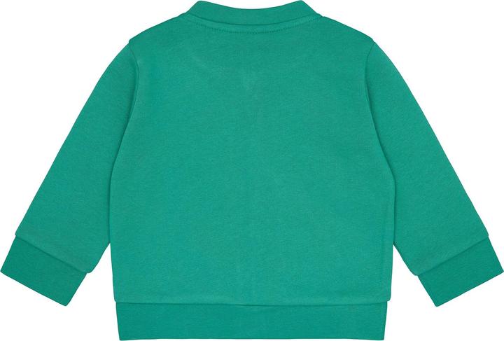 Actual product image loud + proud College sweat jacket (80)