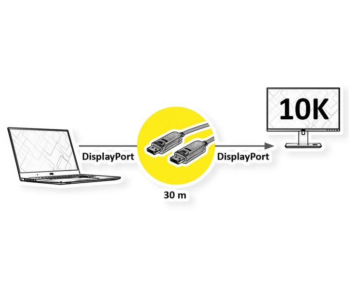 Actual product image Roline Câble DisplayPort v2.1 (AOC), M/M, 30 m (30 m)