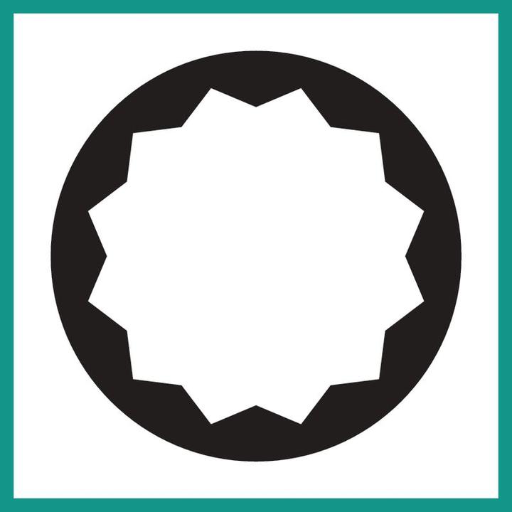 Actual product image Stahlwille Bi-hexagon socket