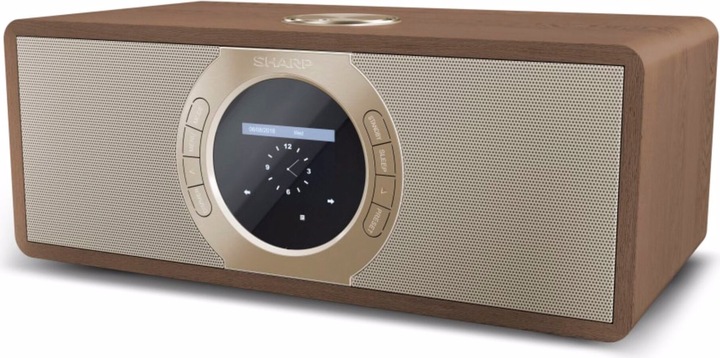 Actual product image Sharp DR-I470(BR)PRO (FM, DAB+, Wi-Fi)
