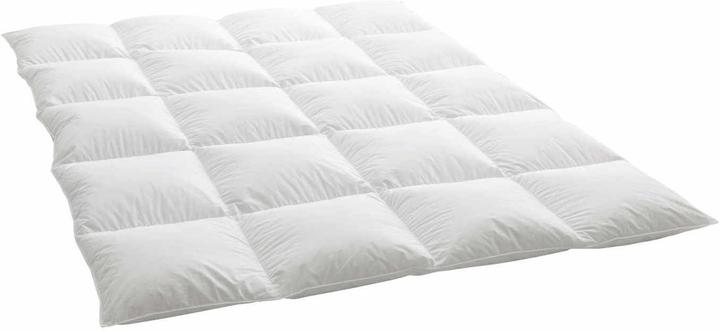 Dauny Media Plus Daunendecke (240 x 240 cm)